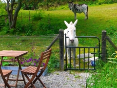 Meet the Neighbours. Hire our cute little Garden Chalet - SummerHouse