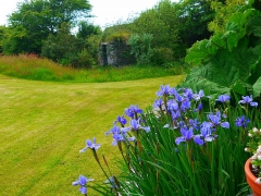 Glorious Garden Georgian Ruins
