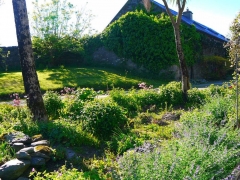 Enjoy our secluded 17 acres of informal gardens