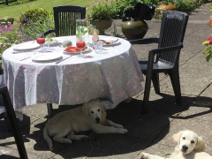 Relax in the sun (or the shade).