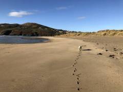 Barley Cove Beach