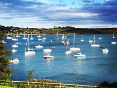 Schull Harbour