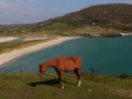 Barley Cove Beach West Cork