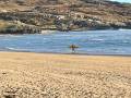 Surfing Barley Cove Beach